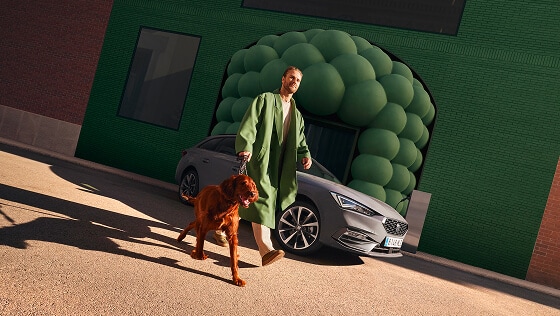 side view on a green background, of a graphene grey leon sportstourer hybrid and a man walking by with a dog